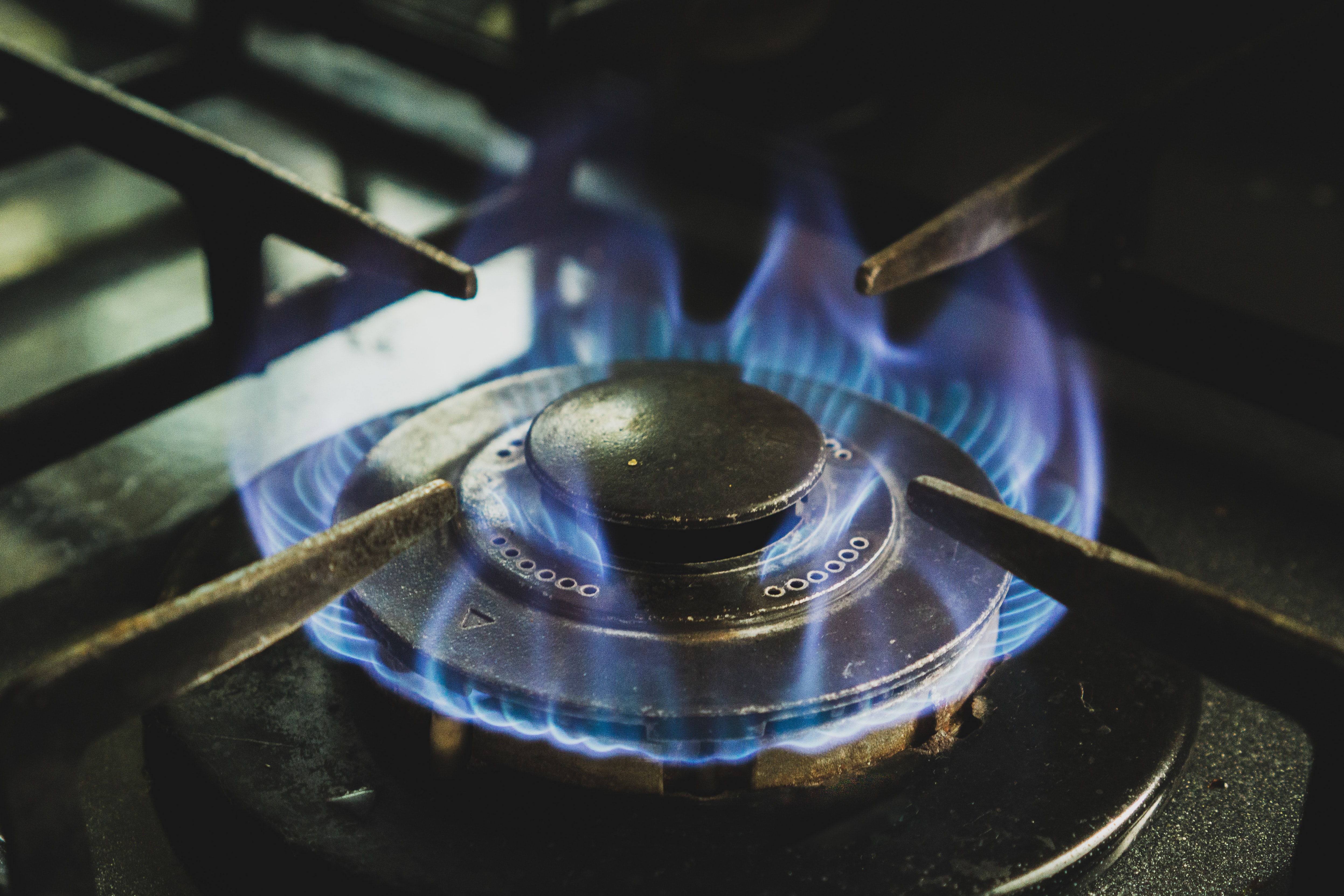 A close up photo of a lit gas-powered stove burner. 