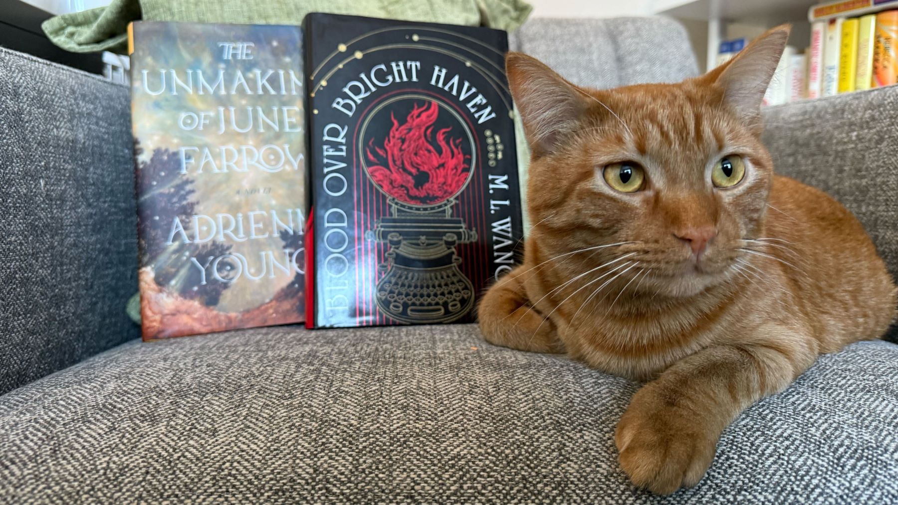 Senior Digital Advisor Rainee Taylor's cat sitting beside 2 books