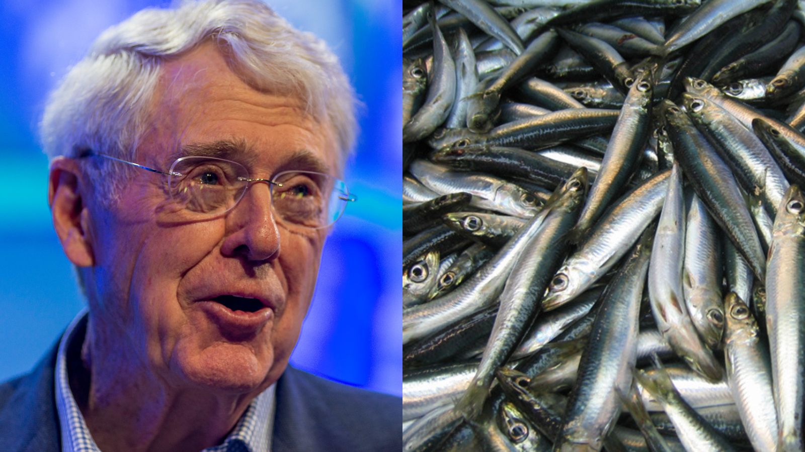 Charles Koch, CEO of Koch Industries, and a catch of herring fish.